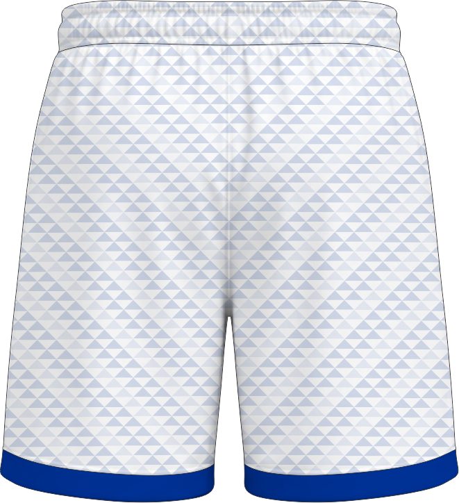 COLLEGIATE CUT SHORTS D 1 BACK
